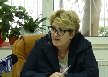 Fara telefoane in timpul orelor 16 septembrie 2024 TELEM Botosani