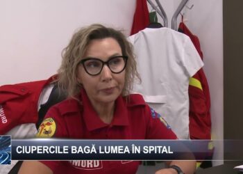 Ciupercile bagă lumea în spital 9 octombrie 2024 TELE`M Botoșani