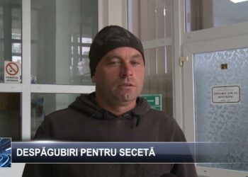 Despăgubiri pentru secetă 17 octombrie 2024 TELE`M Botoșani