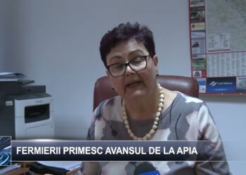 Fermierii primesc avansul de la APIA 17 octombrie 2024 TELE`M Botoșani