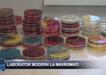 Laborator modern la Mavromati 10 octombrie 2024 TELE`M Botoșani