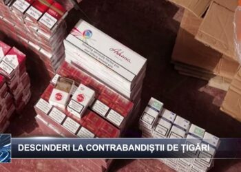 Știri pe scurt 17 octombrie 2024 TELE`M Botoșani