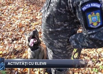 Știri pe scurt 23 octombrie 2024 TELE`M Botoșani