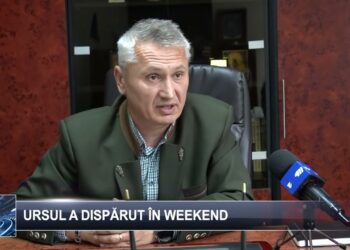 Ursul a dispărut în weekend  7 octombrie 2024 TELE`M Botoșani
