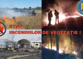 Reguli stricte pentru arderea vegetației: Amenzi mari pentru cei care nu respectă legea