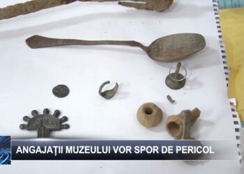 Angajații muzeului vor spor de pericol  1 noiembrie 2024 TELE`M Botoșani