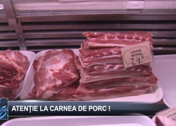 Atenție la carnea de porc! 11 noiembrie 2024 TELE`M Botoșani