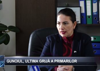 Gunoiul, ultima grijă a primarilor  6 noiembrie 2024 TELE`M Botoșani