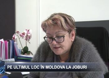 Pe ultimul loc în Moldova la joburi 4 noiembrie 2024 TELE`M Botoșani