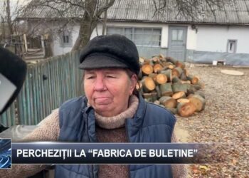 Percheziții la „Fabrica de buletine”  20 noiembrie 2024 TELE`M Botoșani