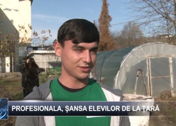 Profesionala, șansa elevilor de la țară 19 noiembrie 2024 TELE`M Botoșani