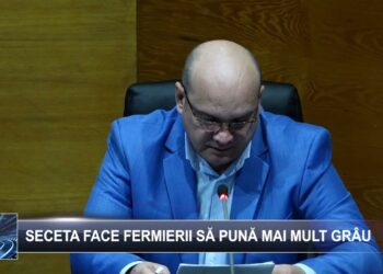 Seceta face fermierii să pună mai mult grâu  1 noiembrie 2024 TELE`M Botoșani