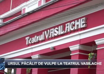 Știri pe scurt 12 noiembrie 2024 TELE`M Botoșani