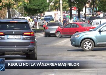 Știri pe scurt 15 noiembrie 2024  TELE`M Botoșani