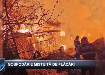 Știri pe scurt 19 noiembrie 2024 TELE`M Botoșani