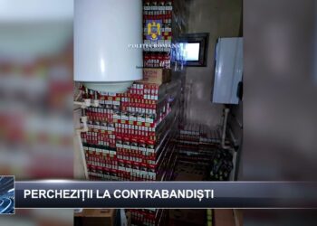 Știri pe scurt 29 noiembrie 2024 TELE`M Botoșani