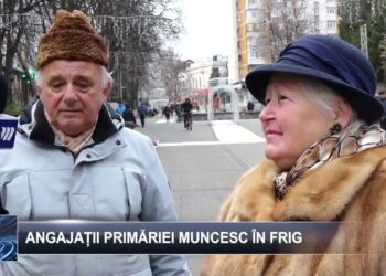 Angajații primăriei lucrează în frig 11 decembrie 2024 TELE`M Botoșani