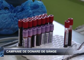 Știri pe scurt 16 decembrie 2024 TELE`M Botoșani