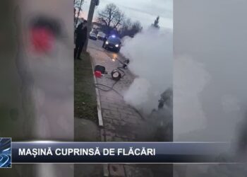 Știri pe scurt 17 decembrie 2024 TELE`M Botoșani