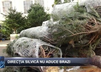 Știri pe scurt 6 decembrie 2024 TELE`M Botoșani