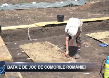 Bătaie de joc de comorile României 30 ianuarie 2025 TELE`M Botoșani