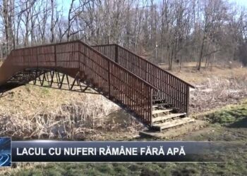 Lacul cu nuferi rămâne fără apă 20 ianuarie 2025 TELE`M Botoșani
