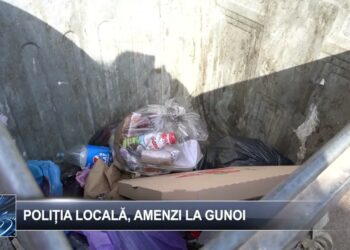 Poliția Locală, amenzi la gunoi 17 ianuarie 2025 TELE`M Botoșani