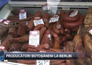 Producători botoșăneni la Berlin 17 ianuarie 2025 TELE`M Botoșani
