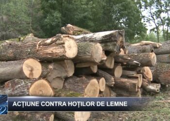 Știri pe scurt 17 ianuarie 2025 TELE`M Botoșani