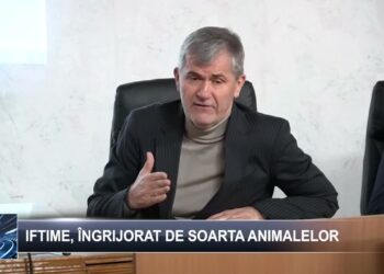 Iftime, îngrijorat de soarta animalelor  3 februarie 2025 TELE`M Botoșani