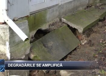 Știri pe scurt 3 februarie 2025 TELE`M Botoșani