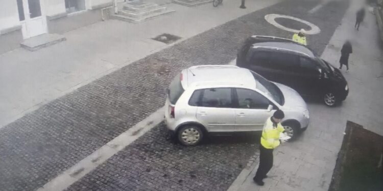 Poliția Locală Botoșani a aplicat sancțiuni de peste 3.500 de lei în urma acțiunilor de supraveghere din 16-17 martie 2025