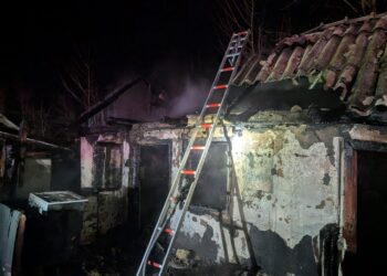 Incendiu devastator în Albești: o femeie și-a pierdut viața