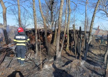 Incendiu de proporții într-o gospodărie din Copălău: Anexă, depozit de lemne și vegetație uscată, mistuite de flăcări
