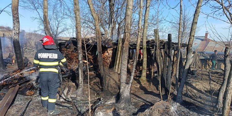 Incendiu de proporții într-o gospodărie din Copălău: Anexă, depozit de lemne și vegetație uscată, mistuite de flăcări