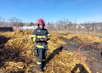 Incendiile fac ravagii în județ. Au ars hectare întregi de vegetație uscată