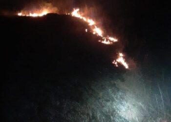 Pompierii au intervenit pentru stingerea a cinci incendii de vegetație uscată
