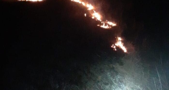 Pompierii au intervenit pentru stingerea a cinci incendii de vegetație uscată