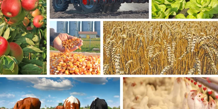 Guvernul acordă 1,5 miliarde de lei pentru sprijinirea crescătorilor de animale și agricultorilor