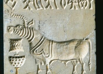 Recompensă de 1 milion de dolari pentru descifrarea scrierii civilizației din Valea Indusului