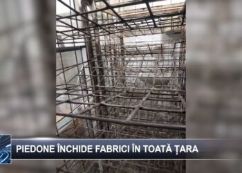 Piedone închide fabrici în toată țara 3 martie 2025 TELE`M Botoșani