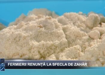 Știri pe scurt 14 martie 2025 TELE`M Botoșani