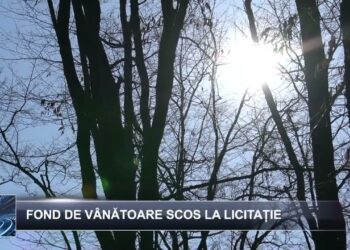 Știri pe scurt  24 martie 2025 TELE`M Botoșani