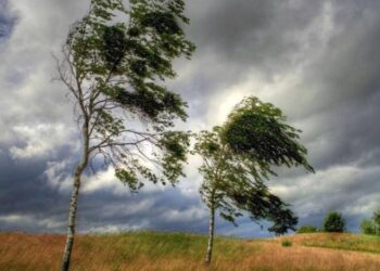 Avertizare meteo: Cod galben de vânt puternic în județul Botoșani