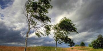 Avertizare meteo: Cod galben de vânt puternic în județul Botoșani