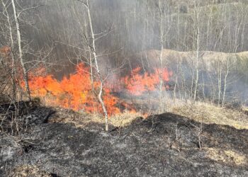 Două incendii de vegetație uscată și stuf, lichidate de pompieri