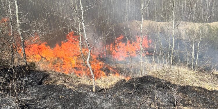 Două incendii de vegetație uscată și stuf, lichidate de pompieri