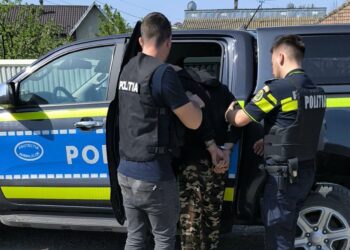 Bărbat din Botoșani, reținut pentru schingiuirea unui câine