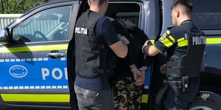 Bărbat din Botoșani, reținut pentru schingiuirea unui câine