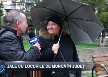 Jale cu locurile de muncă în județ 17 aprilie 2025 TELE`M Botoșani